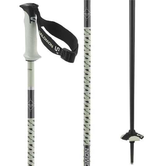 Salomon Polar Pro S3 Ski Poles