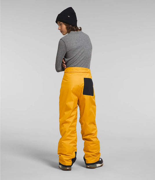 The North Face Boy's Freedom Insulated Snow Pant 2024