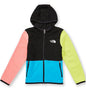 The North Face Little Kids Colorblock Glacier Full-Zip Hoodie
