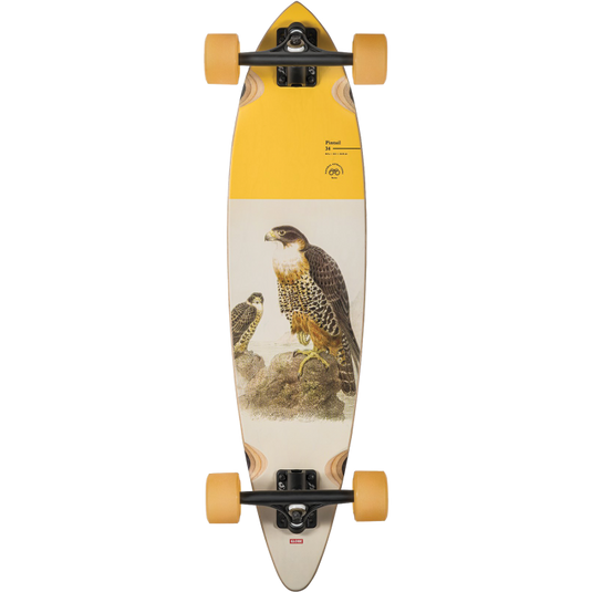 Globe Pintail 34 Falcon Longboard Complete Skateboard - 8.75" x 30.5"