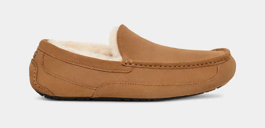 Ugg Men's Ascot Slipper