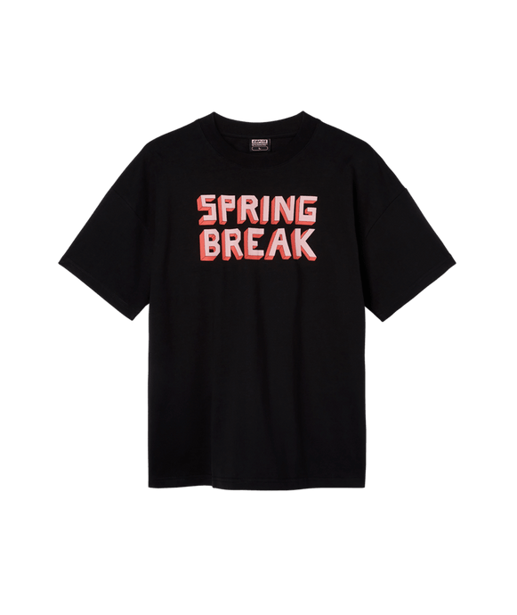 Capita SB Block Tee