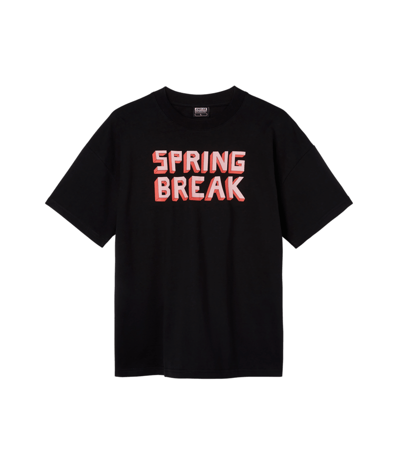 Load image into Gallery viewer, Capita SB Block Tee
