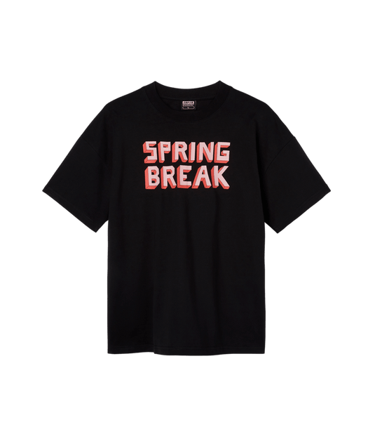 Capita SB Block Tee