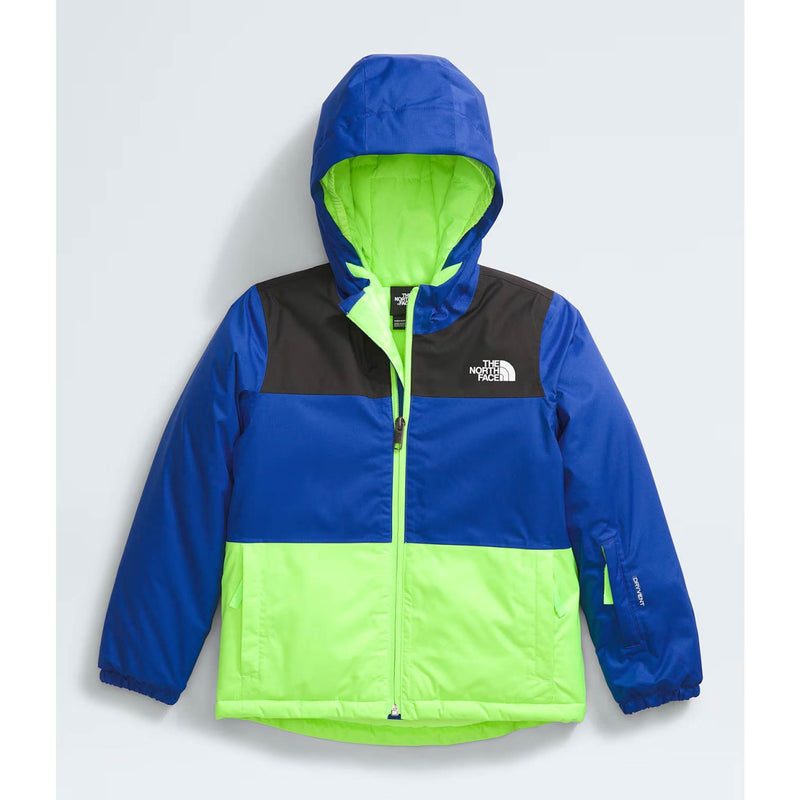 Load image into Gallery viewer, The North Face Kids&#39; Freedom Insulated Jacket
