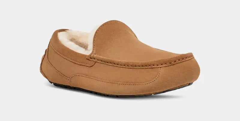 Load image into Gallery viewer, Ugg Men&#39;s Ascot Slipper
