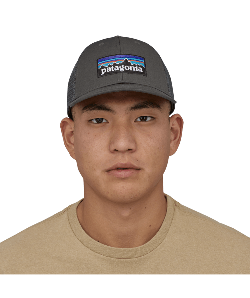 Load image into Gallery viewer, Patagonia P-6 Logo LoPro Trucker Hat
