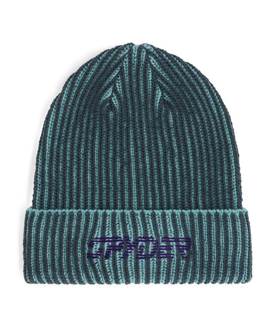 Spyder Logan Beanie