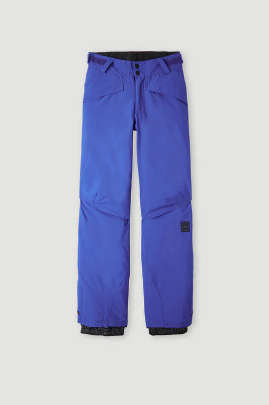 O'Neill Boy's Anvil Snow Pants