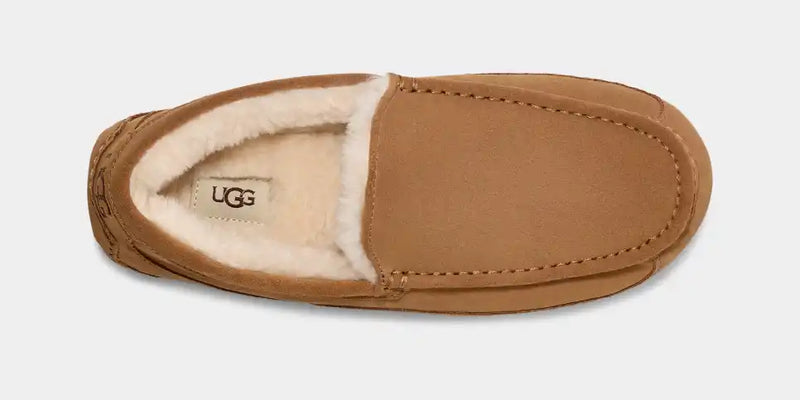 Load image into Gallery viewer, Ugg Men&#39;s Ascot Slipper
