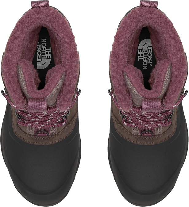 Load image into Gallery viewer, The North Face Women's Chilkat V 400 Waterproof
