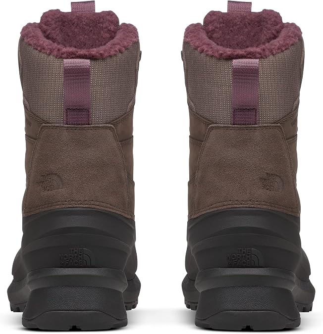 Load image into Gallery viewer, The North Face Women's Chilkat V 400 Waterproof
