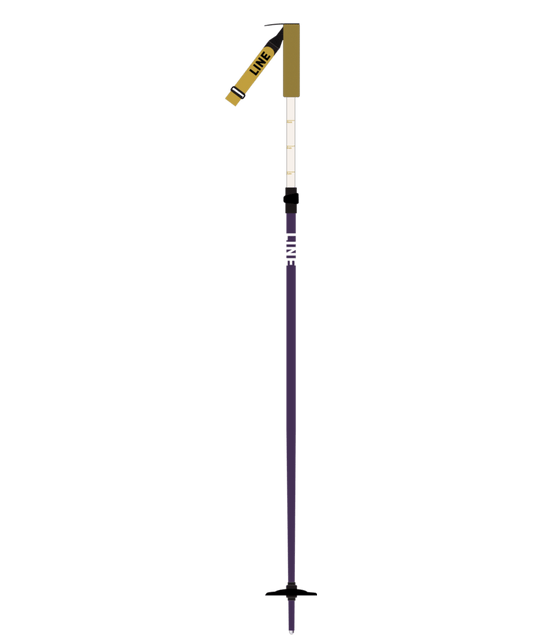 Line Paintbrush Ski Poles 2026