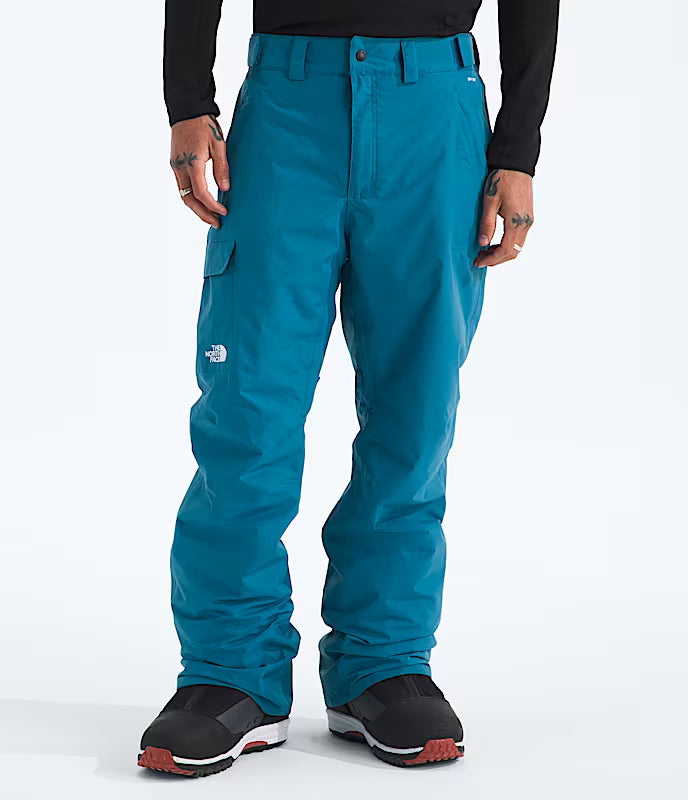 Load image into Gallery viewer, The North Face Men's Freedom Pant 2026
