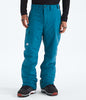 The North Face Men's Freedom Pant 2026