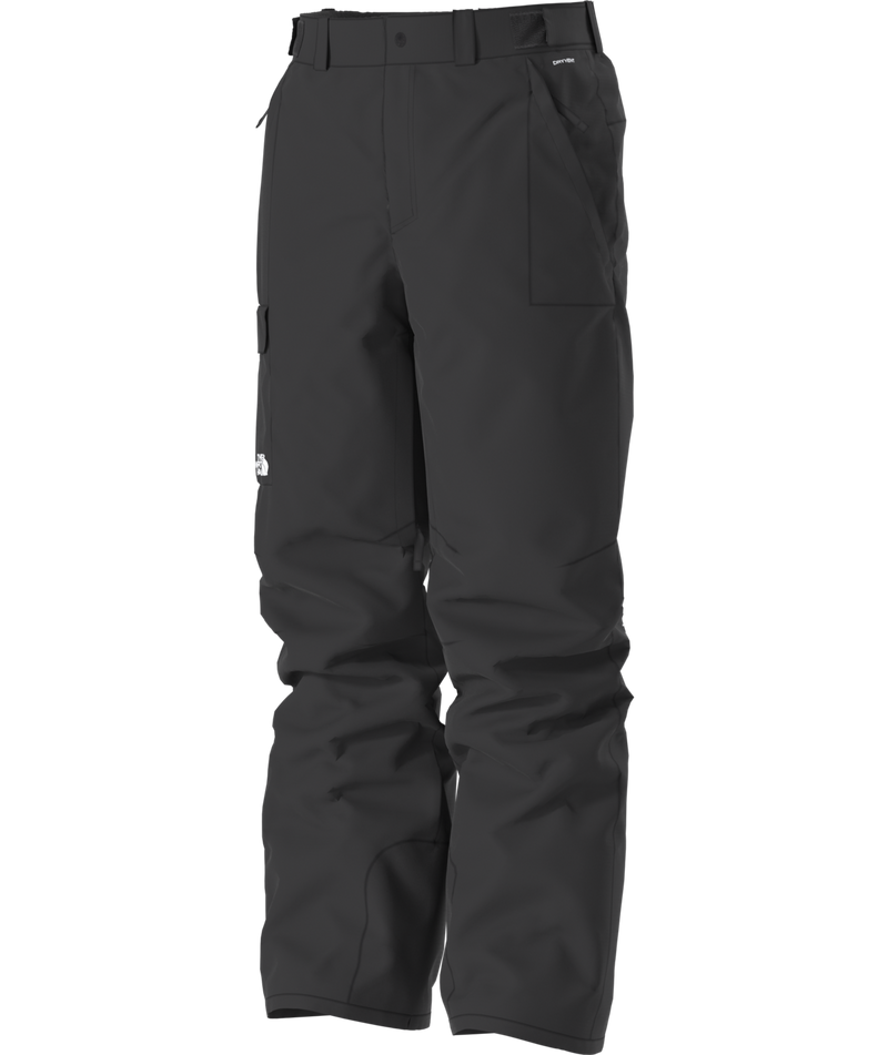 Load image into Gallery viewer, The North Face Men&#39;s Freedom Pant 2026
