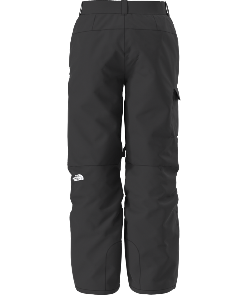 Load image into Gallery viewer, The North Face Men&#39;s Freedom Pant 2026
