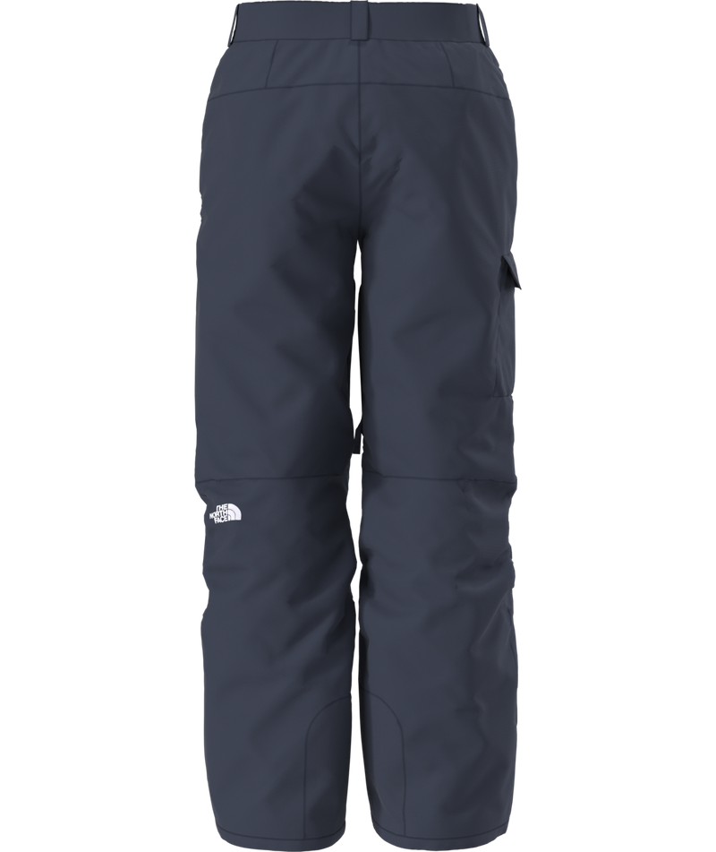 Load image into Gallery viewer, The North Face Men&#39;s Freedom Pant 2026
