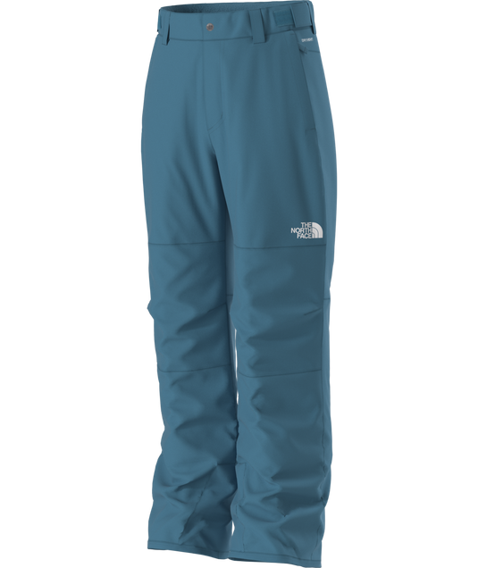 The North Face Boy's Freedom Insulated Snow Pant 2026