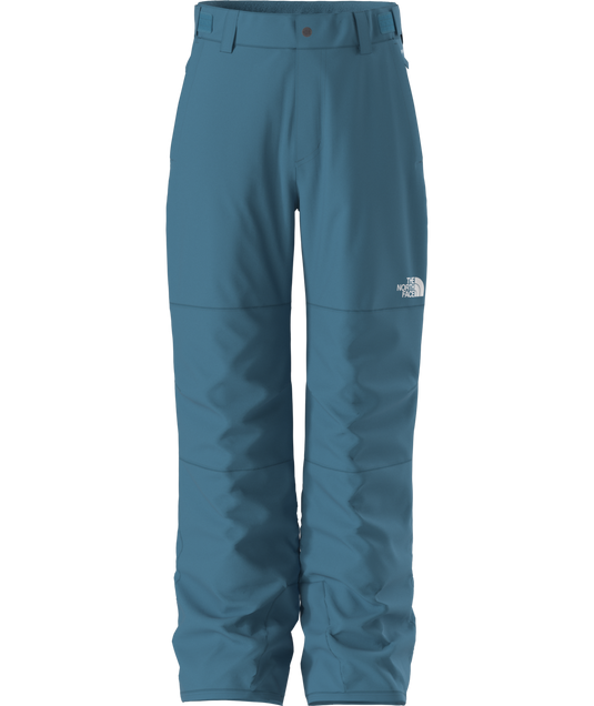 The North Face Boy's Freedom Insulated Snow Pant 2026