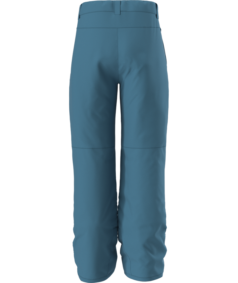 Load image into Gallery viewer, The North Face Boy&#39;s Freedom Insulated Snow Pant 2026
