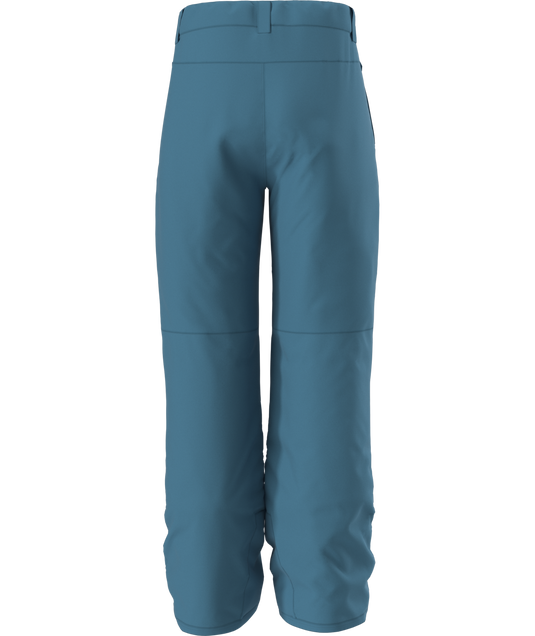 The North Face Boy's Freedom Insulated Snow Pant 2026