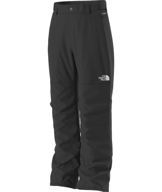 The North Face Boy's Freedom Insulated Snow Pant 2026