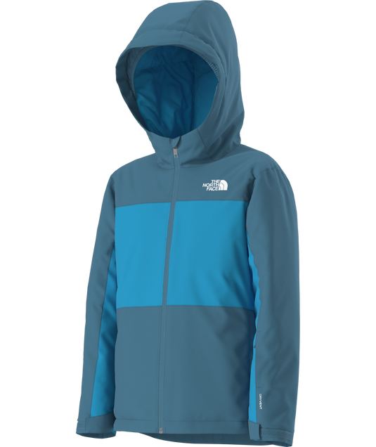 The North Face Boy's Freedom Insulated Jacket