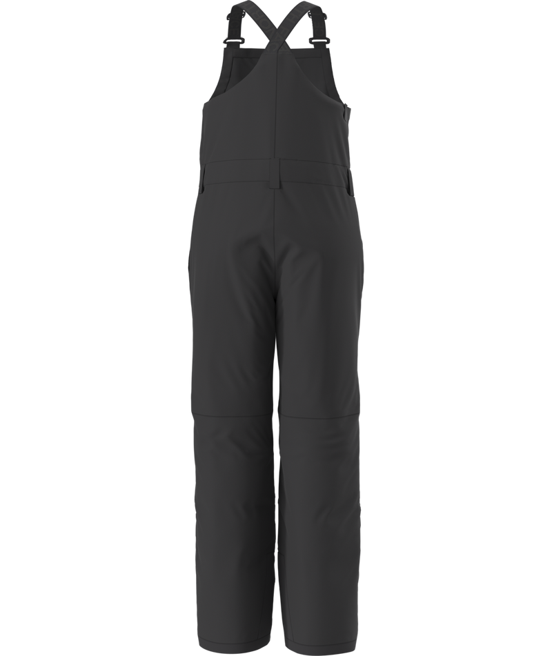 Load image into Gallery viewer, The North Face Teen Freedom Insulated Bib 2026
