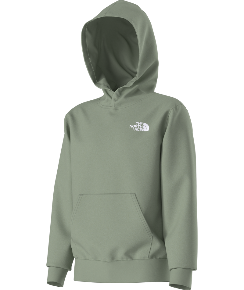 Load image into Gallery viewer, The North Face Teen Evolution Box NSE Pullover Hoodie
