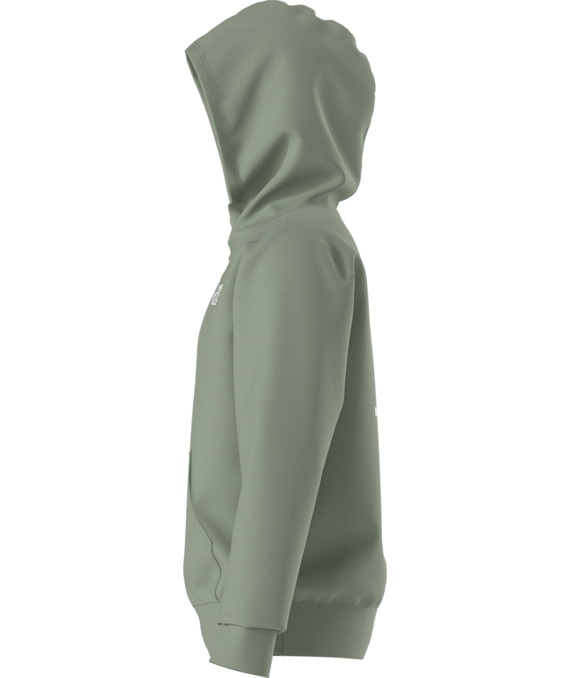 Load image into Gallery viewer, The North Face Teen Evolution Box NSE Pullover Hoodie
