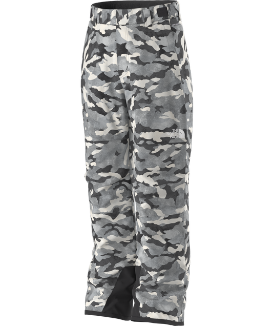 The North Face Boy's Freedom Insulated Snow Pant 2026