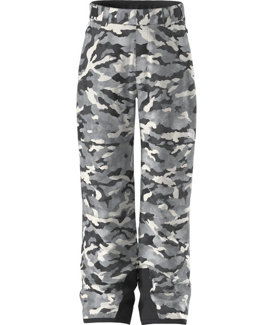 The North Face Boy's Freedom Insulated Snow Pant 2026