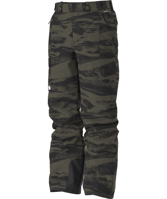 The North Face Men's Freedom Pant 2026