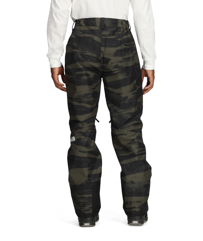 Load image into Gallery viewer, The North Face Men&#39;s Freedom Pant 2026
