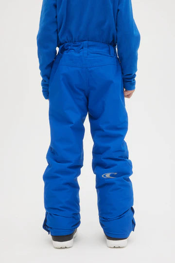 O'Neill Boy's Anvil Snow Pants