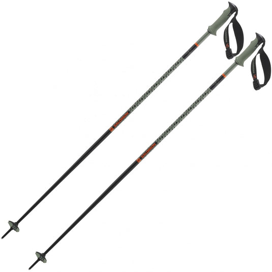 Salomon Polar Pro S3 Ski Poles