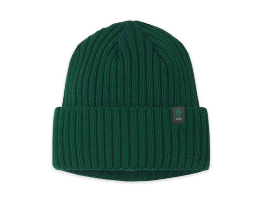 A dark green ribbed knit beanie hat with a folded cuff, featuring a small dark gray brand patch on the side with a green leaf Stio logo. Ski and Tennis Station