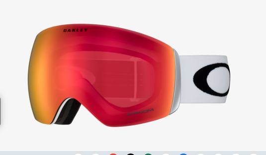 Oakley Flight Deck L Snow Goggles