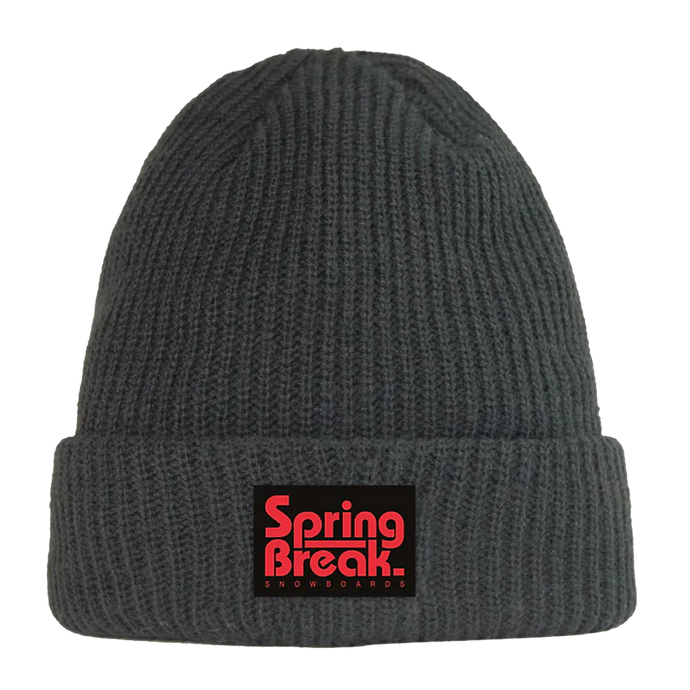 Capita Spring Break SB Beanie