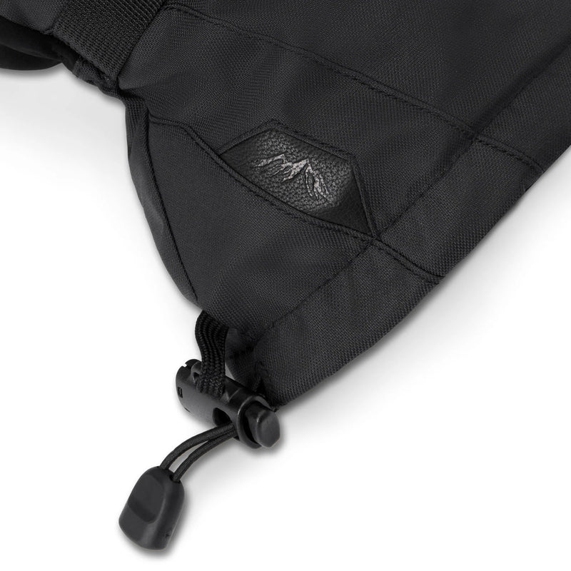 Load image into Gallery viewer, Dakine Titan 2.0 Leather DLX Gore-Tex Gloves
