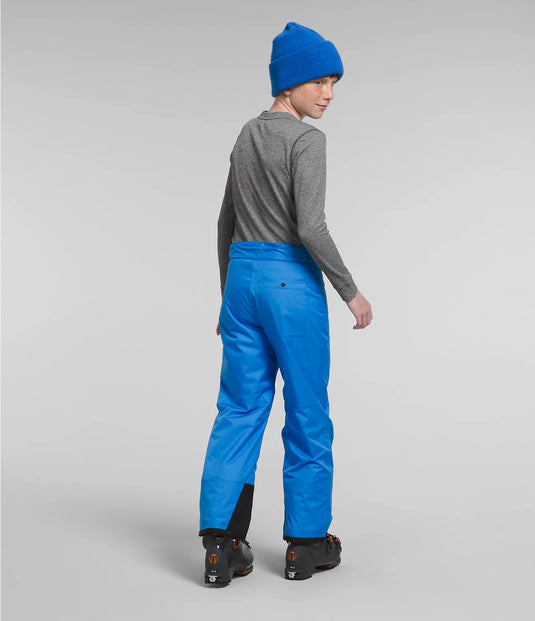 The North Face Boy's Freedom Insulated Snow Pant