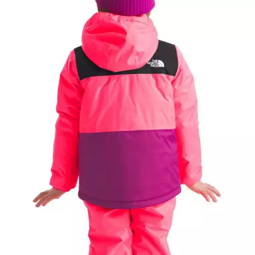 Load image into Gallery viewer, The North Face Kids&#39; Freedom Insulated Jacket
