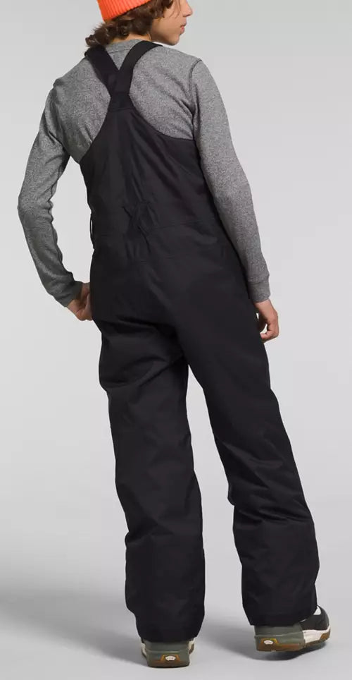 Load image into Gallery viewer, The North Face Teen Freedom Insulated Bib
