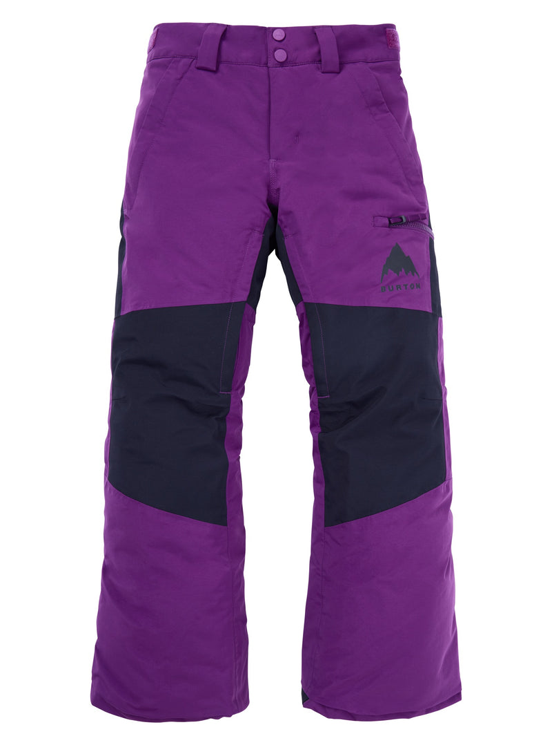 Load image into Gallery viewer, Purple and black snow pants on a white background
