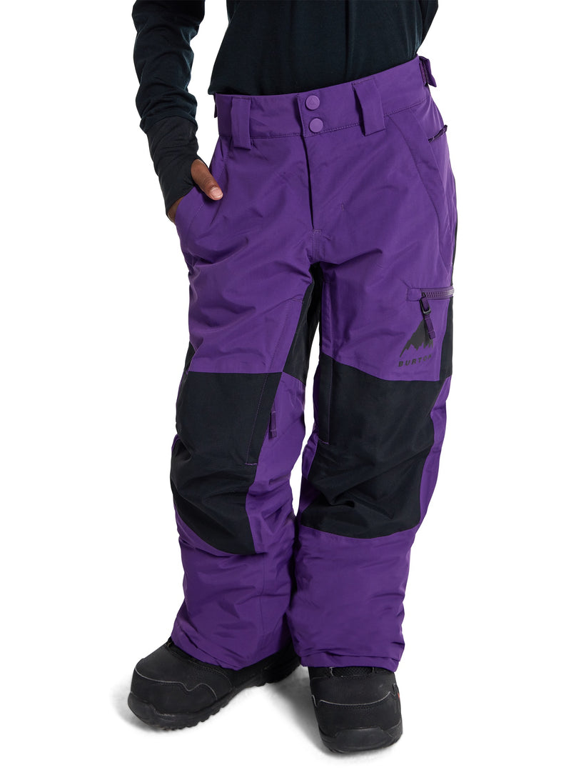 Load image into Gallery viewer, Purple and black snow pants on a white background
