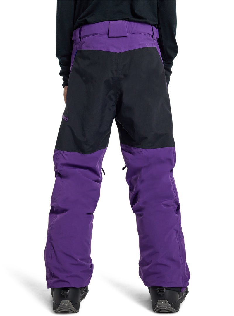 Load image into Gallery viewer, Purple and black snow pants on a white background
