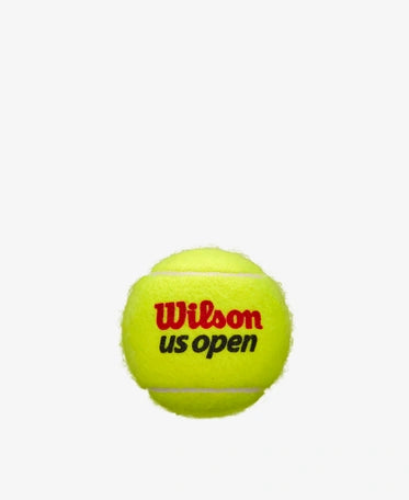 Load image into Gallery viewer, Wilson US Open Regular Duty Tennis Balls (3 Ball Can)
