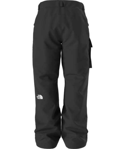The North Face Men's Freedom Insulated Pant