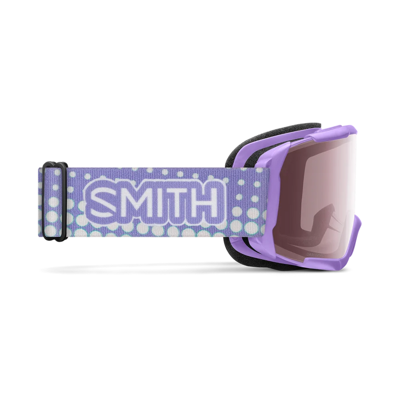 Load image into Gallery viewer, Smith Daredevil Youth Goggles 2027
